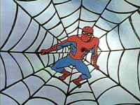 Spiderman In Web